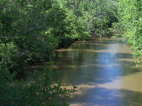 Reedy River Reedy River